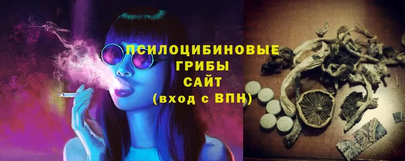 Псилоцибиновые грибы Psilocybine cubensis  Давлеканово 